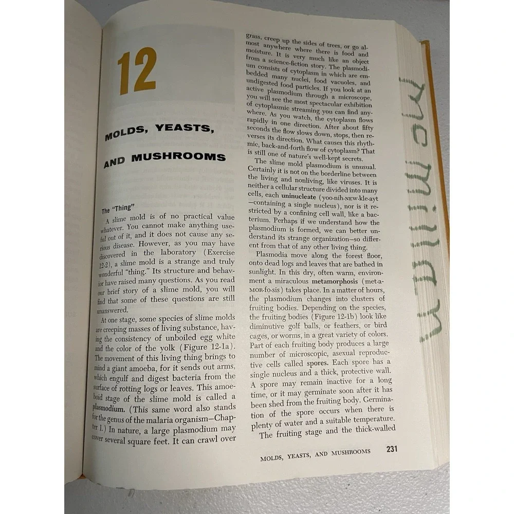 Biological Science An Inquiry Into Life Hardcover Curriculum Study Textbook 1963